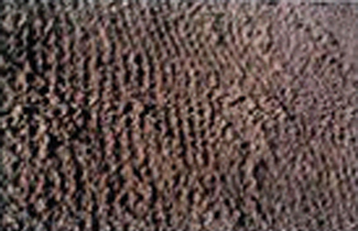 d1e1bcd553f4ddb9307effc1db2556aa__1460815084.jpg